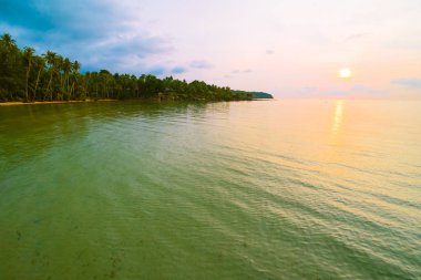 Plaj ve deniz çevresinde Hindistan cevizi hurma ile güzel cennet ada
