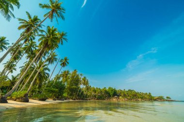 Güzel cennet ada plaj ve deniz