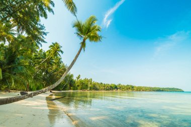 Güzel cennet ada plaj ve deniz