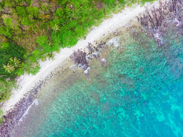 Letecký pohled na nádherné pláže a moře s kokosu palmou — Stock fotografie