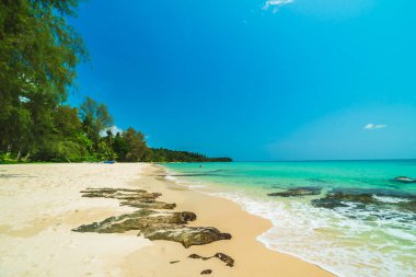 Güzel cennet tropikal plaj ve deniz