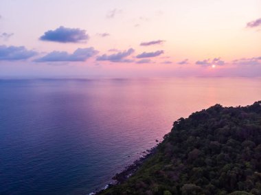 Güzel bir plaj ve deniz ile Hindistan cevizi hurma ağacı havadan görünümü