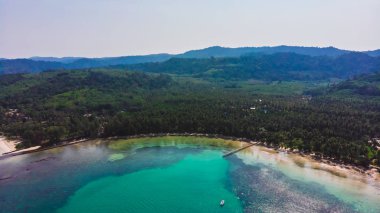 Güzel bir plaj ve deniz Hindistan cevizi hurma ağacı ile havadan görünümü