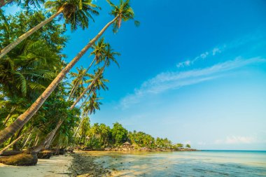 Güzel cennet ada plaj ve deniz