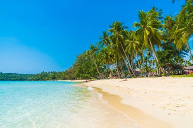 Güzel tropikal plaj ve deniz