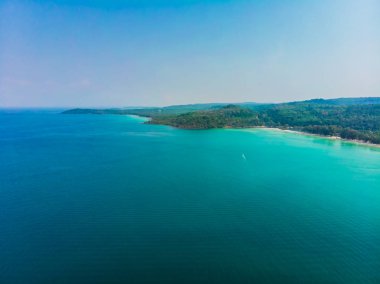 Güzel bir plaj ve deniz Hindistan cevizi hurma ağacı ile havadan görünümü