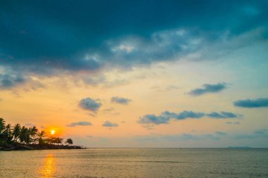 Plaj ve deniz çevresinde Hindistan cevizi hurma ile güzel cennet ada