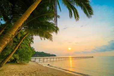 Plaj ve deniz çevresinde Hindistan cevizi hurma ile güzel cennet ada