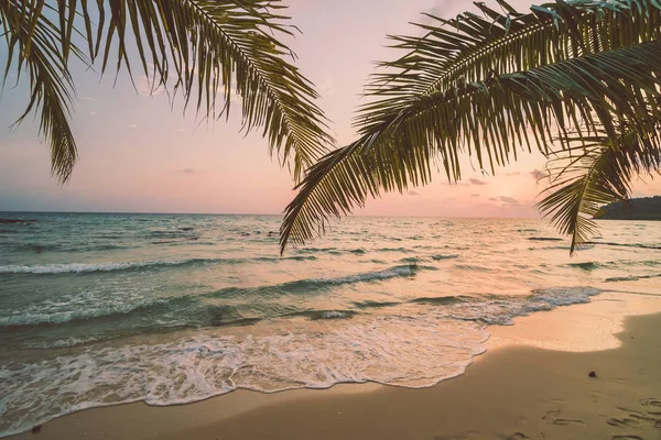 Belle Ile Paradisiaque Avec Plage Mer Autour Cocotier Coucher Soleil Image Libre De Droit Par Mrsiraphol C