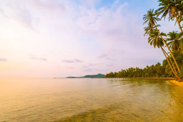 Bella isola paradisiaca con spiaggia e mare intorno palma da cocco — Foto Stock