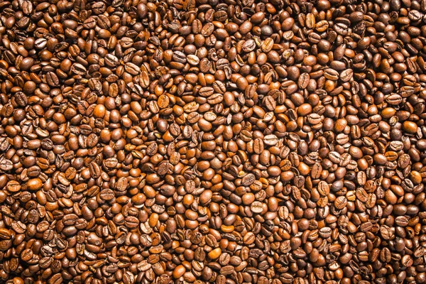 Brown coffee beans and seed — Stock Photo, Image