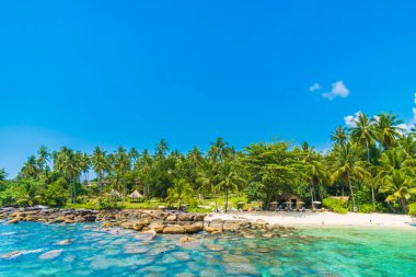 Güzel tropikal plaj ve deniz