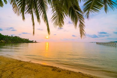 Plaj ve deniz çevresinde Hindistan cevizi hurma ile güzel cennet ada