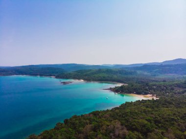Güzel bir plaj ve deniz Hindistan cevizi hurma ağacı ile havadan görünümü