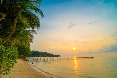 Plaj ve deniz çevresinde Hindistan cevizi hurma ile güzel cennet ada