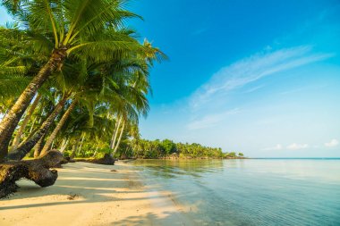 Güzel cennet ada plaj ve deniz