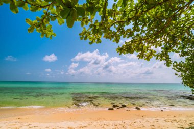 Güzel cennet tropikal plaj ve deniz