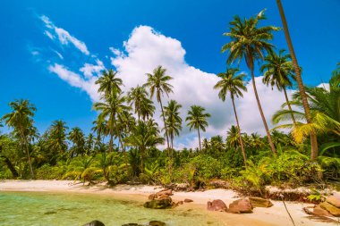 Deniz ve plaj manzara ile güzel cennet ada