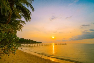 Plaj ve deniz çevresinde Hindistan cevizi hurma ile güzel cennet ada