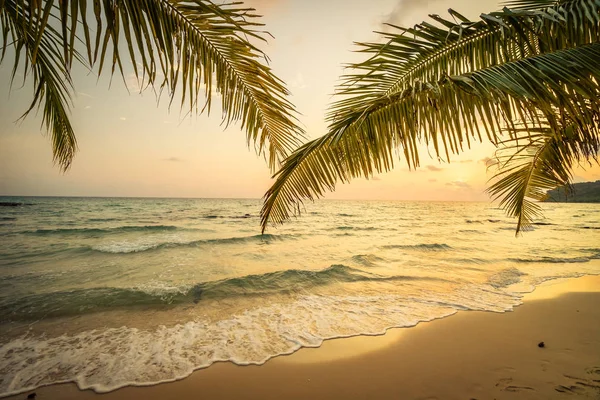 Beautiful paradise island with beach and sea — Stock Photo, Image