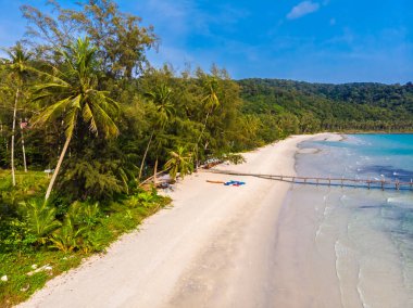 Plaj ve deniz ile Hindistan cevizi hurma ağacı güzel havadan görünümü