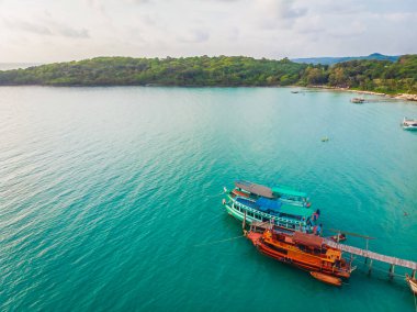 Plaj ve deniz ile Hindistan cevizi hurma ağacı güzel havadan görünümü