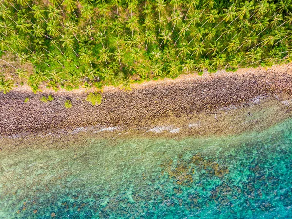 Belle vue aérienne de la plage et de la mer avec cocotier — Photo