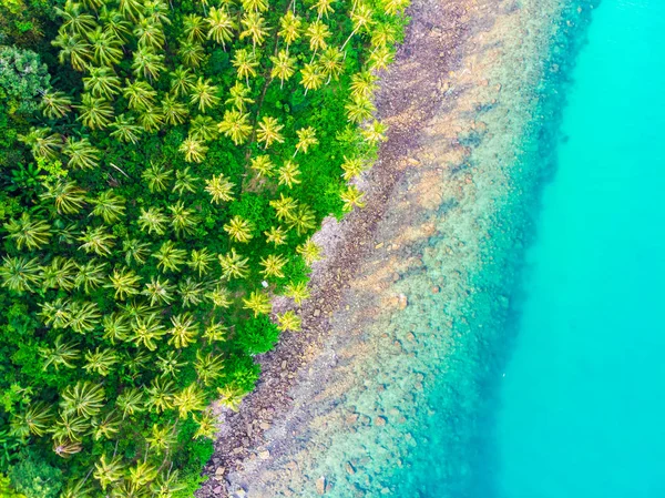 Beautiful Aerial view of beach and sea with coconut palm tree — Stock Photo, Image