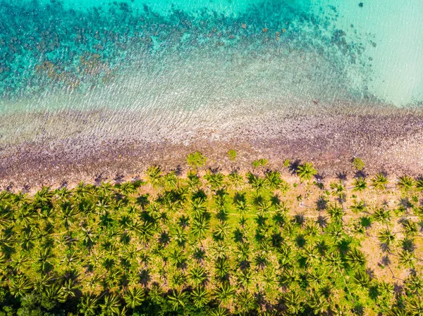 Belle vue aérienne de la plage et de la mer avec cocotier — Photo