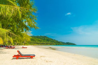 Güzel doğa tropikal plaj ve sandalye ve Hindistan cevizi p ile