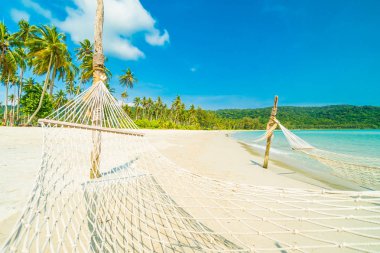 Hamak güzel tropikal plaj tropikal Hindistan cevizi palmiye ağaçları ve deniz ile 