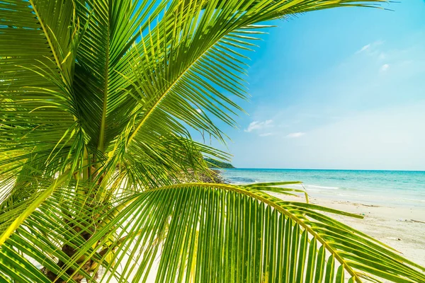 Hermosa naturaleza tropical playa y mar con palmera de coco o —  Fotos de Stock