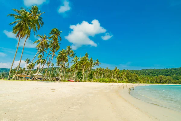Belle nature plage tropicale et mer avec cocotier o — Photo