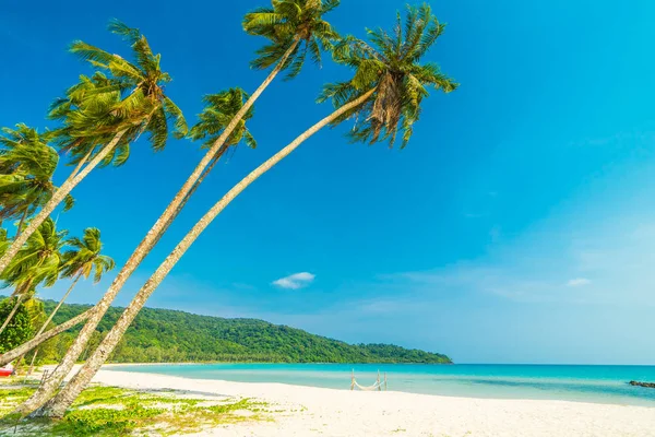 Beautiful nature tropical beach and sea with coconut palm tree o — Stock Photo, Image