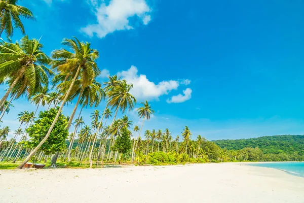 Belle nature plage tropicale et mer avec cocotier o — Photo