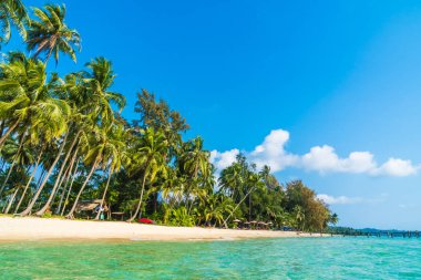 Güzel tropikal plaj ve deniz