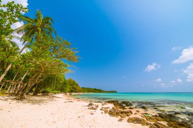 Güzel cennet tropikal plaj ve deniz