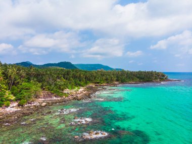 Güzel bir plaj ve deniz Hindistan cevizi hurma ağacı ile havadan görünümü