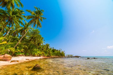 Deniz ve plaj manzara ile güzel cennet ada