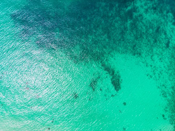 Vista aérea da bela praia e mar com coqueiro — Fotografia de Stock