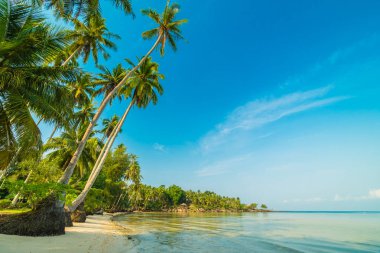 Güzel cennet ada plaj ve deniz