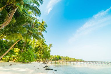 Güzel cennet ada plaj ve deniz