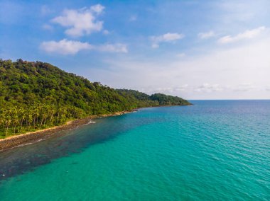 Plaj ve deniz ile Hindistan cevizi hurma ağacı güzel havadan görünümü
