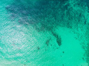 Güzel bir plaj ve deniz Hindistan cevizi hurma ağacı ile havadan görünümü