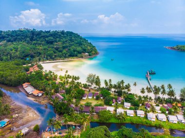 Plaj ve deniz ile Hindistan cevizi hurma ağacı güzel havadan görünümü