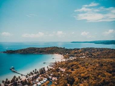 Plaj ve deniz ile Hindistan cevizi hurma ağacı güzel havadan görünümü