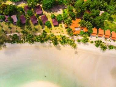 Plaj ve deniz ile Hindistan cevizi hurma ağacı güzel havadan görünümü