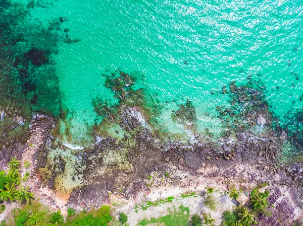 Luchtfoto van het mooie strand en de zee met coconut palm tree — Stockfoto