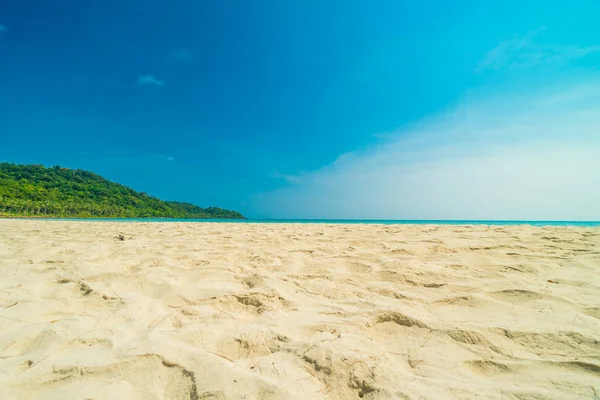 Güzel doğa tropikal plaj ve deniz ile Hindistan cevizi hurma ağacı o — Stok fotoğraf