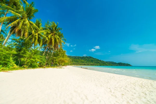 Belle nature plage tropicale et mer avec chaise et noix de coco p — Photo